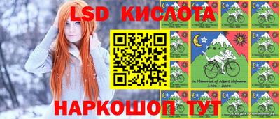 СК Обнинск