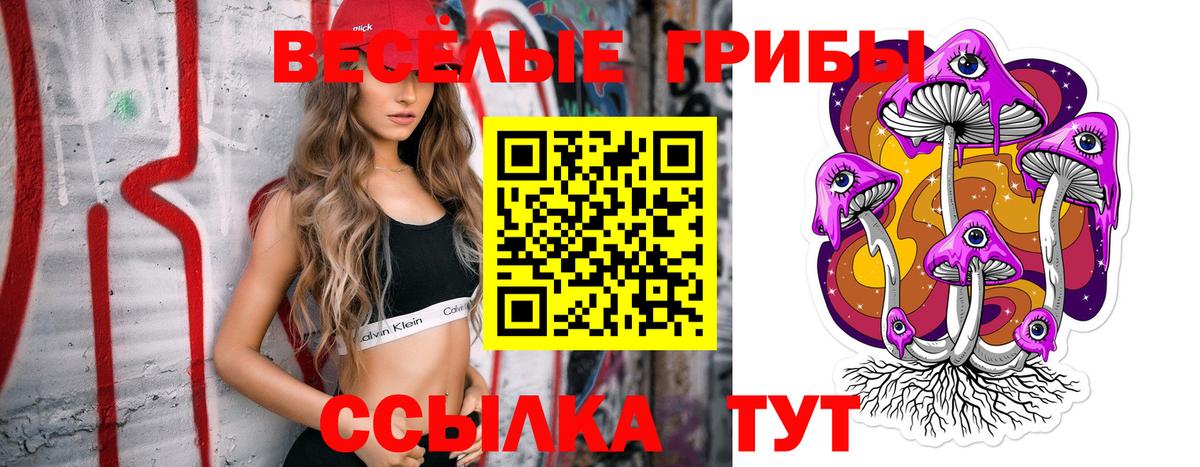 Балашов  Псилоцибиновые грибы Magic Shrooms  Вход с VPN  Галлюциногенные грибы MAGIC MUSHROOMS 